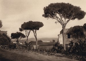 Líbano, paisaje (foto en blanco y negro) de Karl Grober