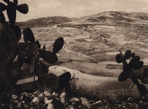 Samaria, Hipódromo de Herodes (foto b/n)