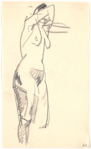 Modelo de pie