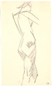 Modelo de pie