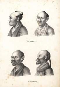 Bustos de hombres japoneses con peinado chonmage y hombres chinos con barba, uno de ellos con coleta. Litografía de Karl Joseph Brodtmann de la Historia natural ilustrada de hombres y animales de Heinrich Rudolf Schinz.