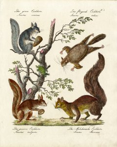  de Karl Joseph Brodtmann