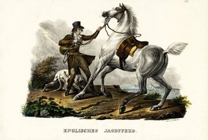 Caballo cazador inglés, 1824 de Karl Joseph Brodtmann