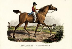 Caballo de Carrera Inglés, 1824 de Karl Joseph Brodtmann