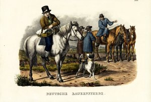 Caballos de granja alemanes, 1824 de Karl Joseph Brodtmann