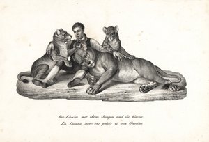 Leona y cachorros con domador, Panthera leo. Litografía de Karl Joseph Brodtmann de la Historia natural ilustrada de hombres y animales de Heinrich Rudolf Schinz. de Karl Joseph Brodtmann