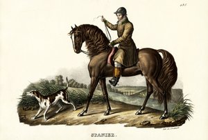 Caballo cazador español, 1824 de Karl Joseph Brodtmann