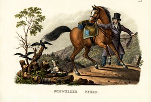 Caballo suizo, 1824 de Karl Joseph Brodtmann