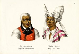 Tammeamea 1º - Rey de Hawái, 1824 de Karl Joseph Brodtmann