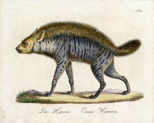  de Karl Joseph Brodtmann