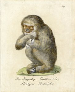  de Karl Joseph Brodtmann