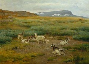 Cabras en pasto de Karl K. Uchermann