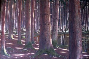 Bosque de abetos de Karl Lambrecht