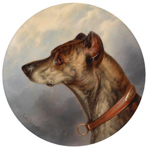 Retrato de perro