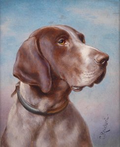 Retrato de perro