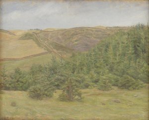 Colinas de Svanninge, Funen de Karl Schou