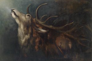 Ciervo moribundo