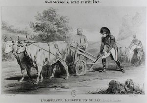 Napoleón (1769-1821) en Santa Elena, grabado por François le Villain de Karl after Loeillot Hartwig
