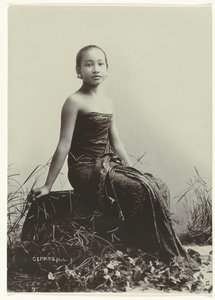 estudio, retrato, de, un, javanés, mujer Retrato de estudio de una joven javanesa sentada en el tronco de un árbol