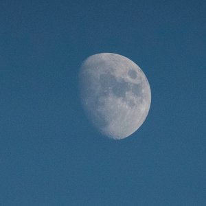 Look At The Moon, 2021 (foto) de Katha Wood