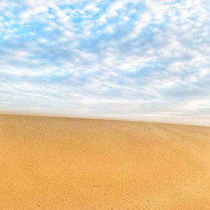 Playa Surrealista del Desierto