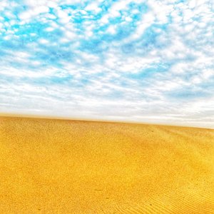 Playa Surrealista del Desierto III de Katha Wood