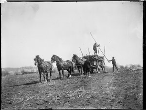 Broomfield, Broomfield And Kingswood, Maidstone, Kent, 06/04/1904 (foto en blanco y negro) de Katherine Jean Macfee