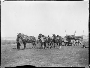 Broomfield, Broomfield And Kingswood, Maidstone, Kent, 06/04/1904 (foto en blanco y negro) de Katherine Jean Macfee