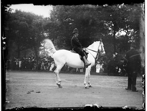 Hyde Park, Ciudad de Westminster, Londres de Katherine Jean Macfee