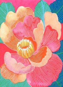  de Katie O'Shea