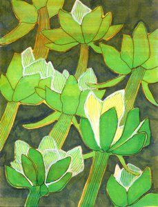  de Katie O'Shea