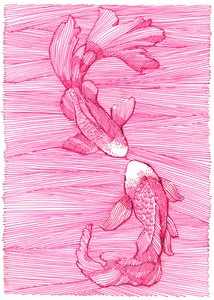  de Katie O'Shea