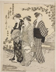 Tréboles de arbusto en verano, de la serie "Las mejores odas sobre flores de las cuatro estaciones (Shuku awase, shiki no hana)" de Katsukawa Shuncho