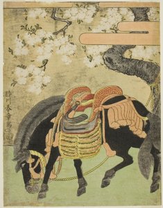 Caballo negro atado bajo un cerezo en flor de Katsukawa Shunsho