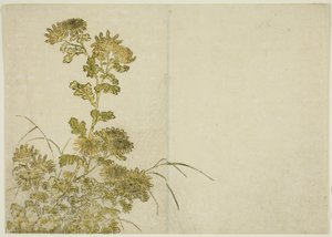 Flores de invierno: crisantemos, del libro "Espejo de mujeres hermosas de los barrios de placer (Seiro bijin awase sugata kagami)," vol. 1 de Katsukawa Shunsho
