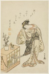 Joven mujer con un mono enjaulado (Impresión de calendario para el Año Nuevo 1776)