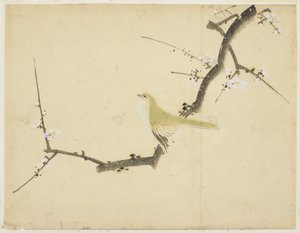 Ruiseñor en una rama de ciruelo de Katsushika (school of) Hokusai