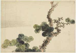 Rama de pino de Katsushika (school of) Hokusai
