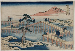 Una antigua imagen del puente de ocho partes en la provincia de Mikawa (de la serie Vistas curiosas de puentes famosos en las provincias)