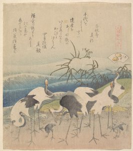 Ashi Clam, de la serie «Genroku Kasen Kai-awase»