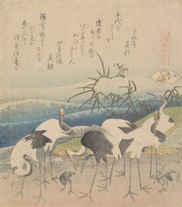 Ashi Clam, de la serie Genroku Kasen Kai-awase