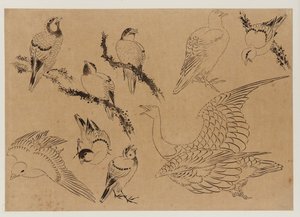 Aves, período Edo, finales del siglo XVIII-principios del siglo XIX de Katsushika Hokusai