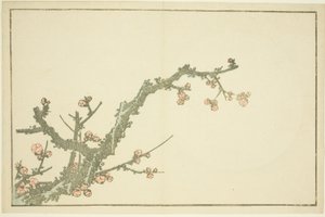 Ciruelo en flor, del Libro de pinturas realistas de Hokusai