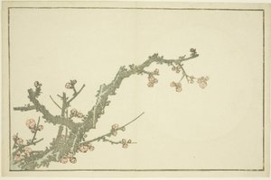 Ciruelo en flor, del Libro de pinturas realistas de Hokusai (Hokusai shashin gafu), c.1814 (xilografía en color (hoja de álbum))