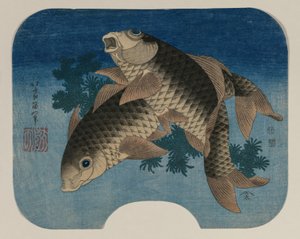 Carpas Nadando entre Hierbas Acuáticas de Katsushika Hokusai