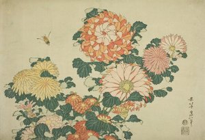 Crisantemos y Abeja, de una serie sin título de Grandes Flores, c.1833-34