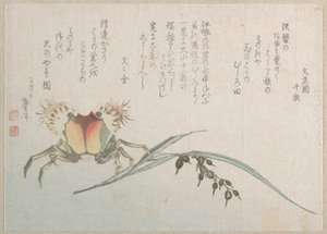 Planta de cangrejo y arroz de Katsushika Hokusai