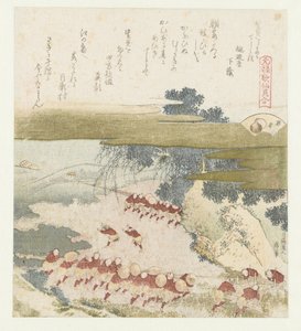 la concha morada Murasakigai (título sobre objeto) Una comparación de poemas y conchas de Genroku (título de la serie) Genroku kasen kaiawase (título de la serie sobre el objeto) de Katsushika Hokusai