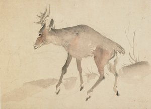 Ciervo, finales del siglo XVIII-principios del XIX
