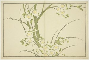 Flores, de El libro de pinturas realistas de Hokusai (Hokusai shashin gafu), c.1814 (xilografía en color (hoja de álbum)) de Katsushika Hokusai